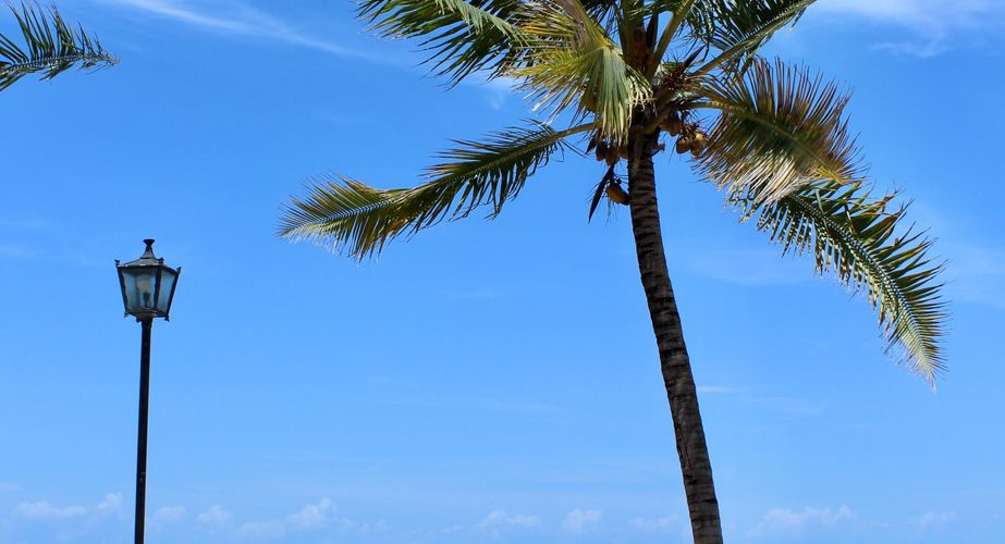 Boulevard en kust van Stone Town Zanzibar